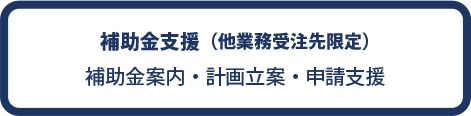 補助金支援（他業務受注先限定）